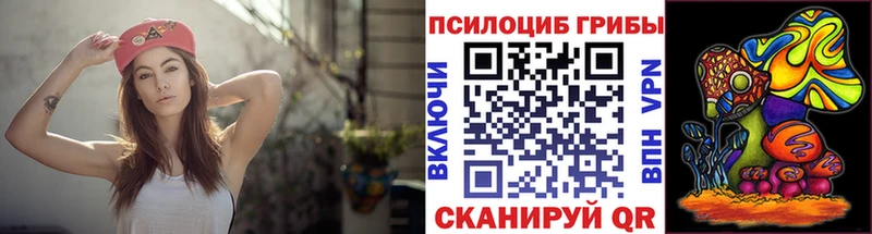 kraken ссылки  Всеволожск  Галлюциногенные грибы Magic Shrooms 